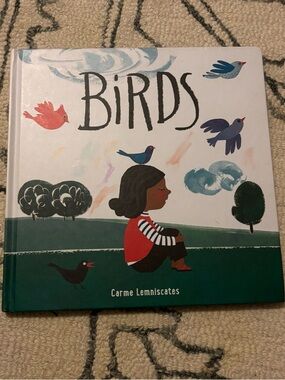Birds Illustrated Children's Book